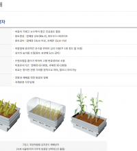 옥상정원 용기이용 재배