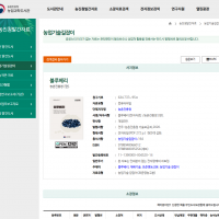 (발간자료) 블루베리