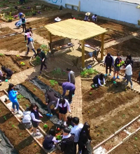 (동영상) 텃밭정원 조성과정 - 쿨데삭 디자인 활용, 학교텃밭정원 조성 과정(전라중학교)