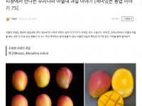 시장에서 만나는 우리나라 아열대 과일 이야기 [재미있는 농업 이야기 75](22.12.13)