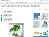 [미세먼지 탈출] “우리집 공기를 부탁해” 공기정화식물 고르고 키우기(23.02.27)